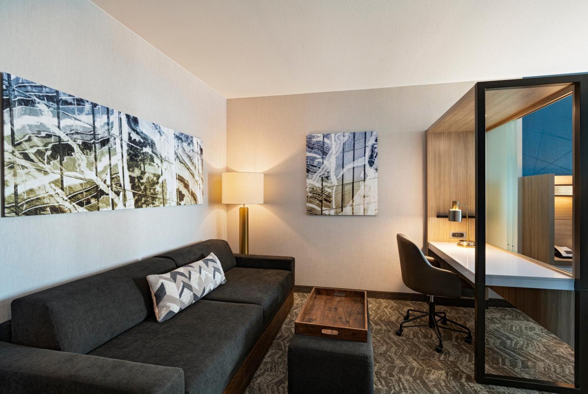 Springhill Suites By Marriott Dallas Richardson/University Area מראה חיצוני תמונה